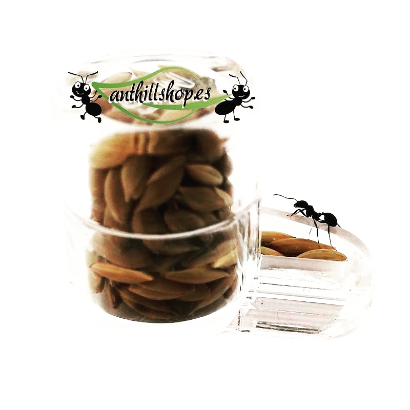 anthillshop's tweet photo. Dispensador de semillas🌾 para las hormigas 🐜🐜. No te pierdas las 📣 OFERTAS 👌y envíos gratis 😲. Solo en 👉   https://t.co/J0FYNDRBo2 🐜🐜🐜🐜🐜🐜 #hormigueros #hormigas #messor #mirmecologia #anthillshopes https://t.co/gLNpbGnG2j