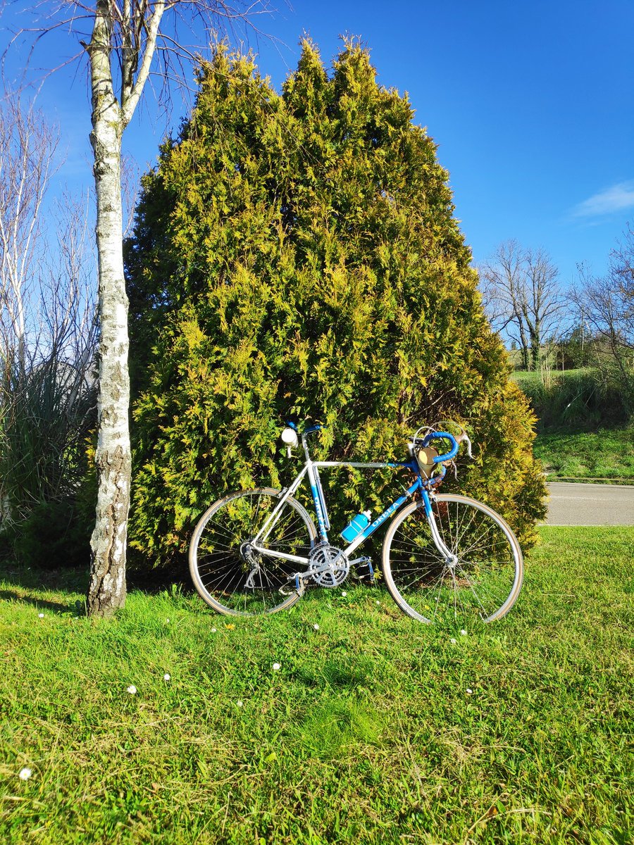 picayuco's tweet photo. Hoy a Ghislain le tocaba cambiar de bici (y de casco). #magicreme https://t.co/r5bSaT1Qsu