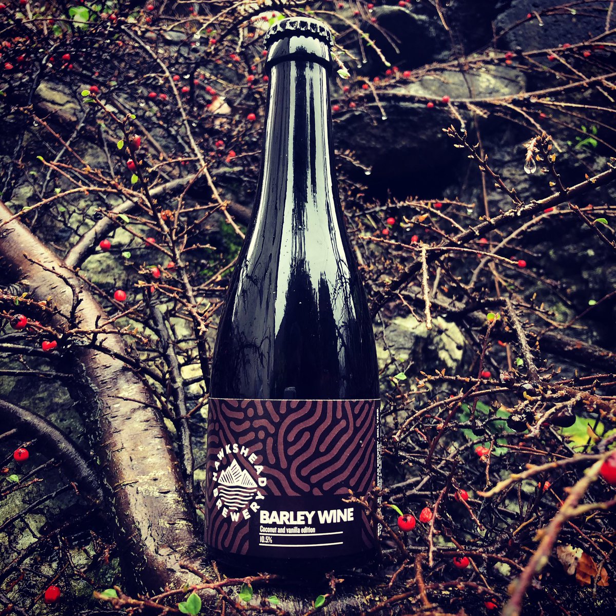 A perfect day to release a New Beer! BARLEY WINE COCONUT &amp; VANILLA EDITION - Aged in whiskey barrels for 1 year, further aged on toasted coconut flakes &amp; whole vanilla pods. Aromas of sweet vanilla &amp; coconut, the mouth feel is thick &amp; luscious, denoting flavours of crème brulee