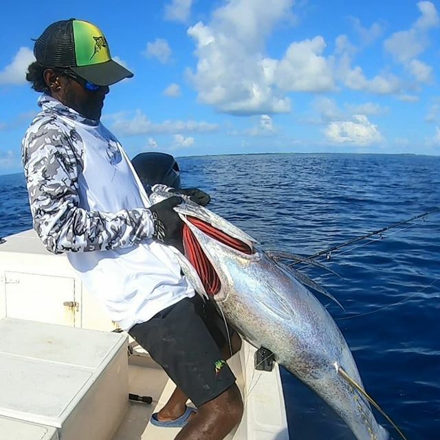 shenvyl's tweet photo. Ofcourse I struggle, I just dont quit.

@kbeanglershub @bobmarlingear @shopngo.mv @costadelmar.mv 
#maldives #adduatoll #bobmarlingear #OneLoveForFishing #kbeanglershub #shopngomv #costadelmar.mv #Lightislife #topwateraddict #fishhard #livelife #flyzonef… https://t.co/PETXjkyHIJ https://t.co/F1jWLZQju9