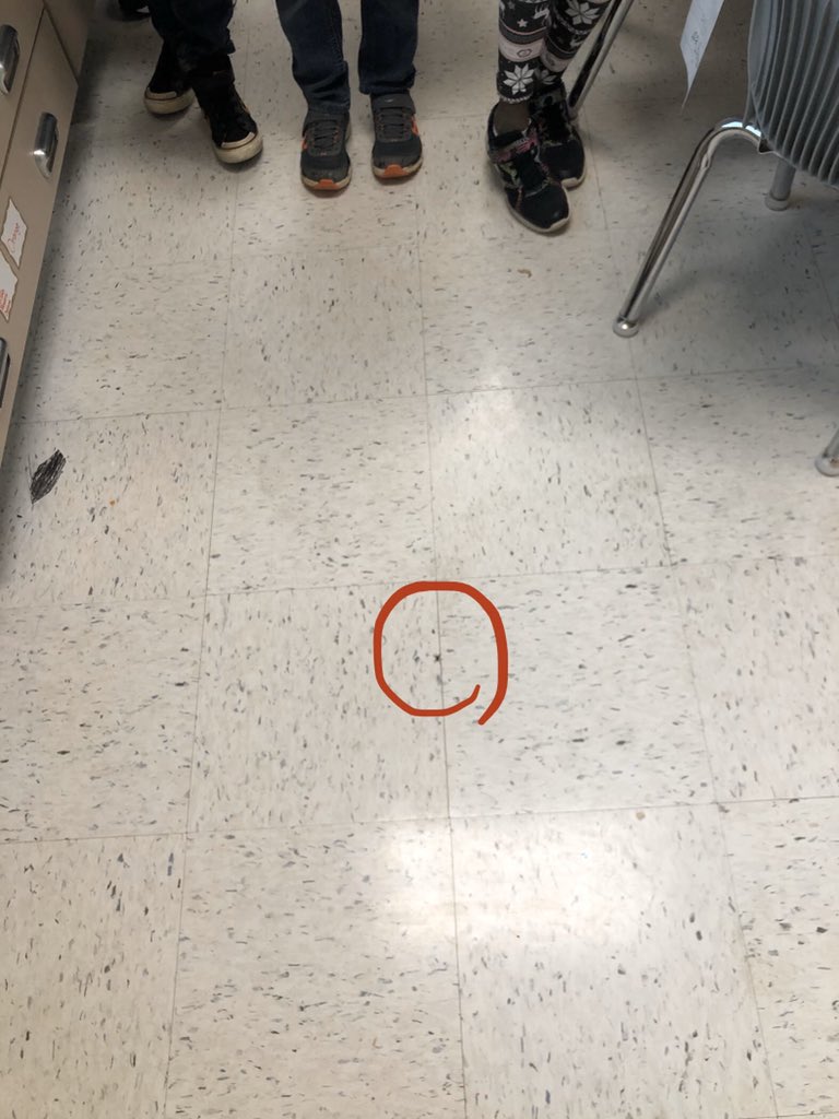 alcox0915's tweet photo. You have captivated the attention of my students Mr. Spider. https://t.co/tdsvDNiY0q