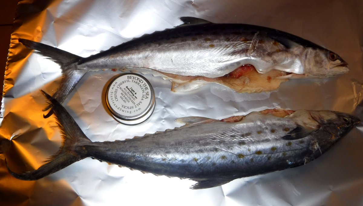 SizzleAndSwing's tweet photo. Beyond the Sea and Sizzling
https://t.co/0WlCOnXzUb
@erindickins @DiscoverSeafood @SeafoodWatch @SeafoodcomNews with seasoning this good nothing else matters.
#seafood #fish #cooking
Please RT https://t.co/FIVux8CvwK
