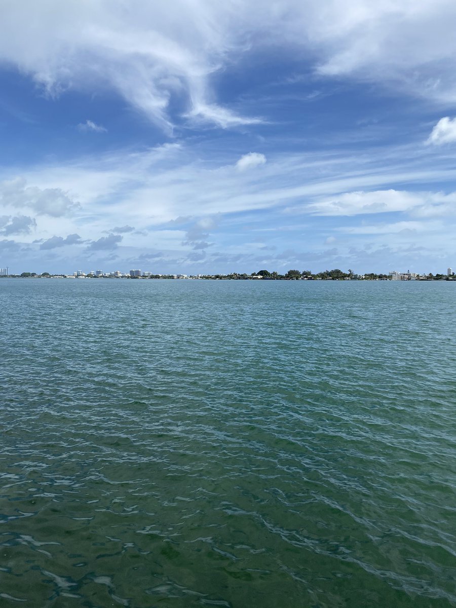 CoachFrankPonce's tweet photo. “It’s something in the water” ... #SPEEDkills #RunFast #GoonTalk #HHMASA #SolarPowered https://t.co/pFyPPAl7jv