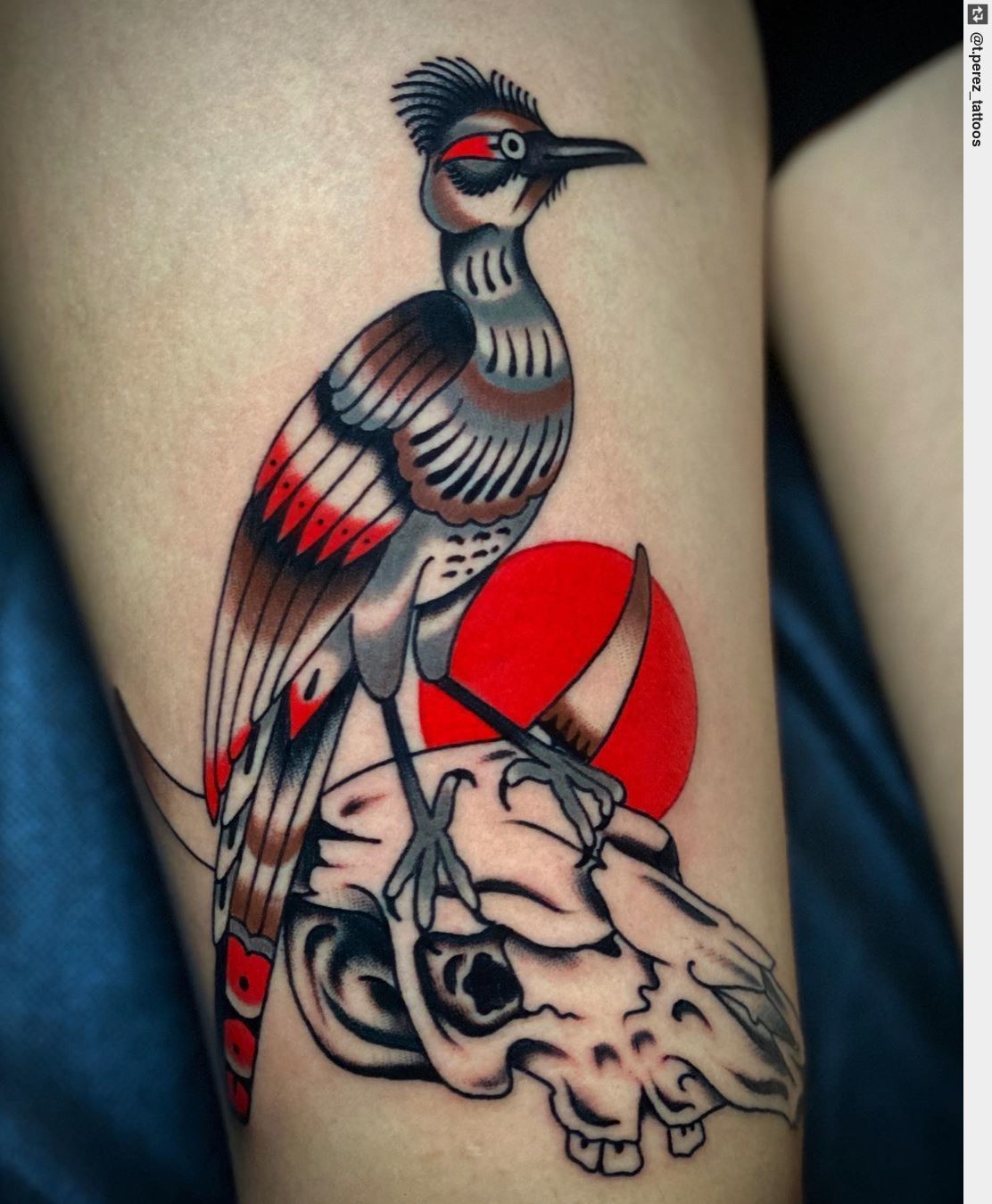 25 Pileated woodpecker tattoo ideas  woodpecker woodpecker art bird art