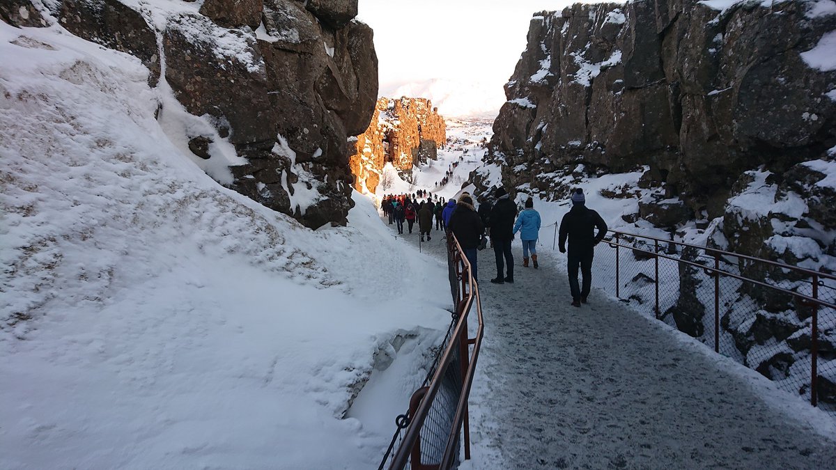 Alasdair Macdonald tweet media