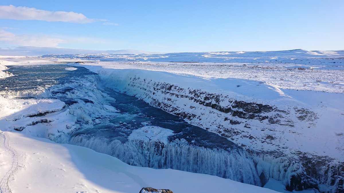 Alasdair Macdonald tweet media