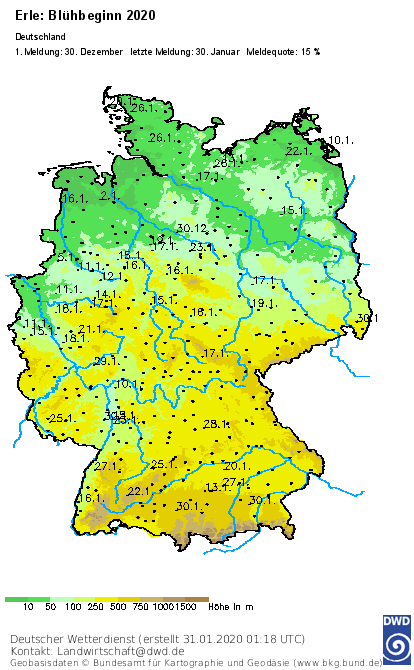 DWD_klima's tweet photo. Der #Phänologische #Vorfrühling ist in vollem Gange: #Blühende #Haseln, #Schneeglöckchen und #Erlen werden von den #DWD #Pflanzenbeobachtern vermehrt gemeldet. Wichtig sind diese Daten u.A. für die #Pollenflugvorhersage. https://t.co/jBtNeBbhGx
