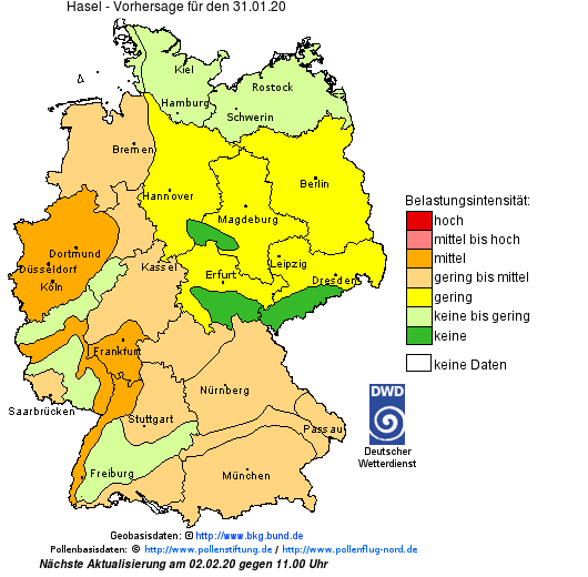 DWD_klima's tweet photo. Der #Phänologische #Vorfrühling ist in vollem Gange: #Blühende #Haseln, #Schneeglöckchen und #Erlen werden von den #DWD #Pflanzenbeobachtern vermehrt gemeldet. Wichtig sind diese Daten u.A. für die #Pollenflugvorhersage. https://t.co/jBtNeBbhGx