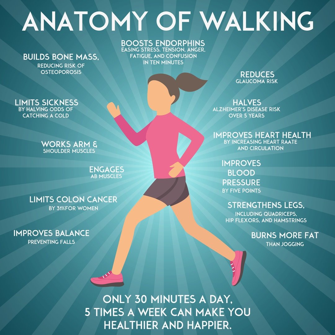 Centre_Moves's tweet photo. Walking is a great way to improve or maintain your overall health. Just 30 minutes every day can increase cardiovascular fitness, strengthen bones, reduce excess body fat, and boost muscle power and endurance. https://t.co/SvXAUwpXOP