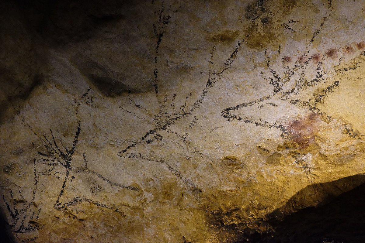 Campaniartecard's tweet photo. Arriva per la prima volta in Italia Lascaux 3.0, la mostra itinerante presentata oggi al @MANNapoli  e noi ti portiamo a fare un giro in anteprima! 

@_MiBACT @Reg_Campania @scabecspa https://t.co/bEYbcKRg4K