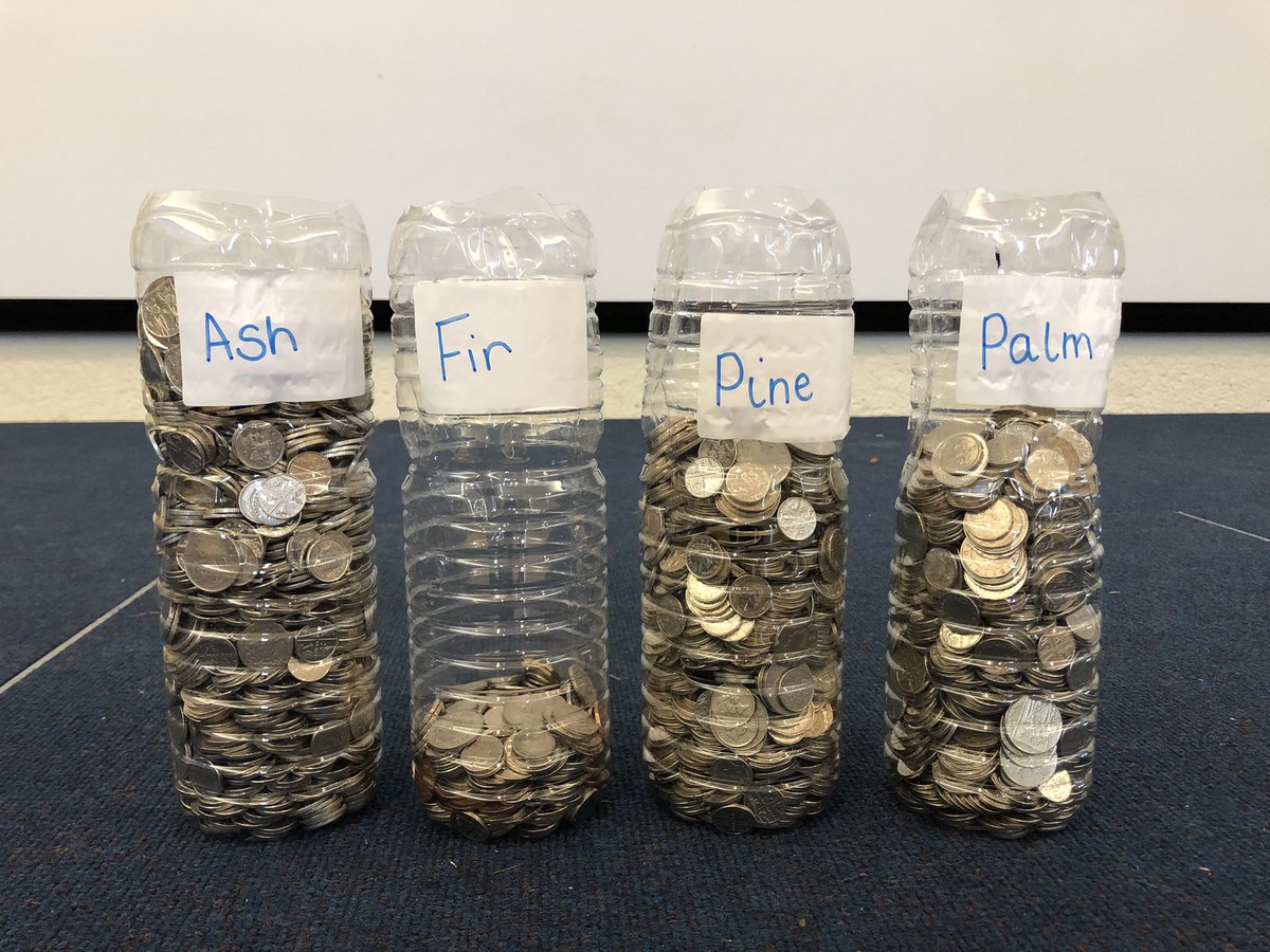 MossBuryPrimary's tweet photo. Wow! The progress the classes have made in just one week is fantastic! 
Ash and Palm Class are now leading the way, but all could change next week.
Thank you to everyone supporting this challenge.☺️ https://t.co/Qjf2iDQGfW