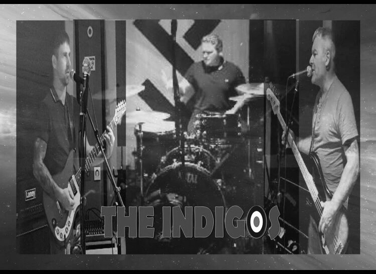 the indigos tweet media