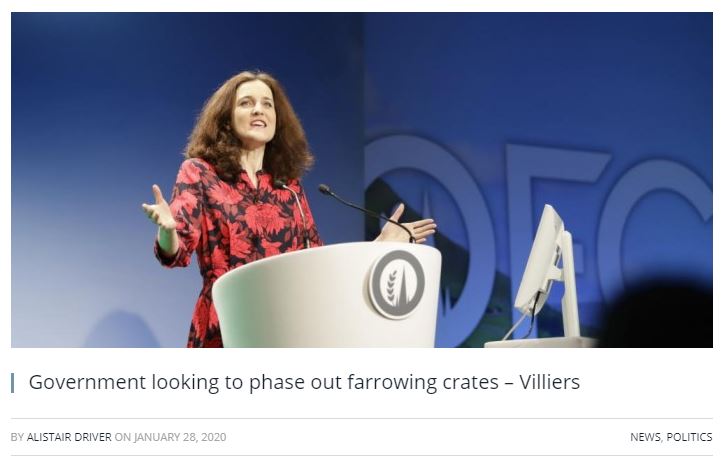 photo of Theresa Villiers with the headline "Government looking to phase out farrowing crates" 
