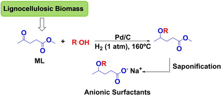 ChemSusChem's tweet photo. Climent, Corma, Iborra, and co-workers @ITQ_UPVCSIC transform methyl #levulinate into #surfactants and #biolubricants through chemoselective reductive #etherification https://t.co/7qrVN9omED https://t.co/UGX3lQuCti