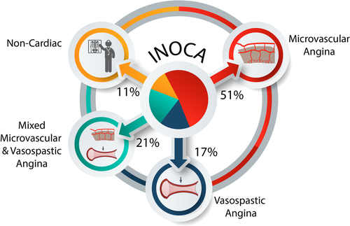 Ischemia and No Obstructive Coronary Artery Disease: Prevalence and Correlates of Coronary Vasomotion Disorders