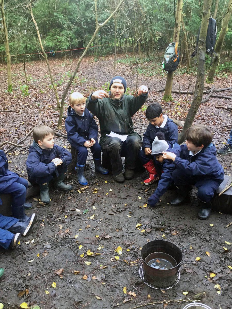 KingsHouseSch's tweet image. Bears have had a brilliant time at Forest School! #trapbuilding #leafID #whatarewegoingtocatch