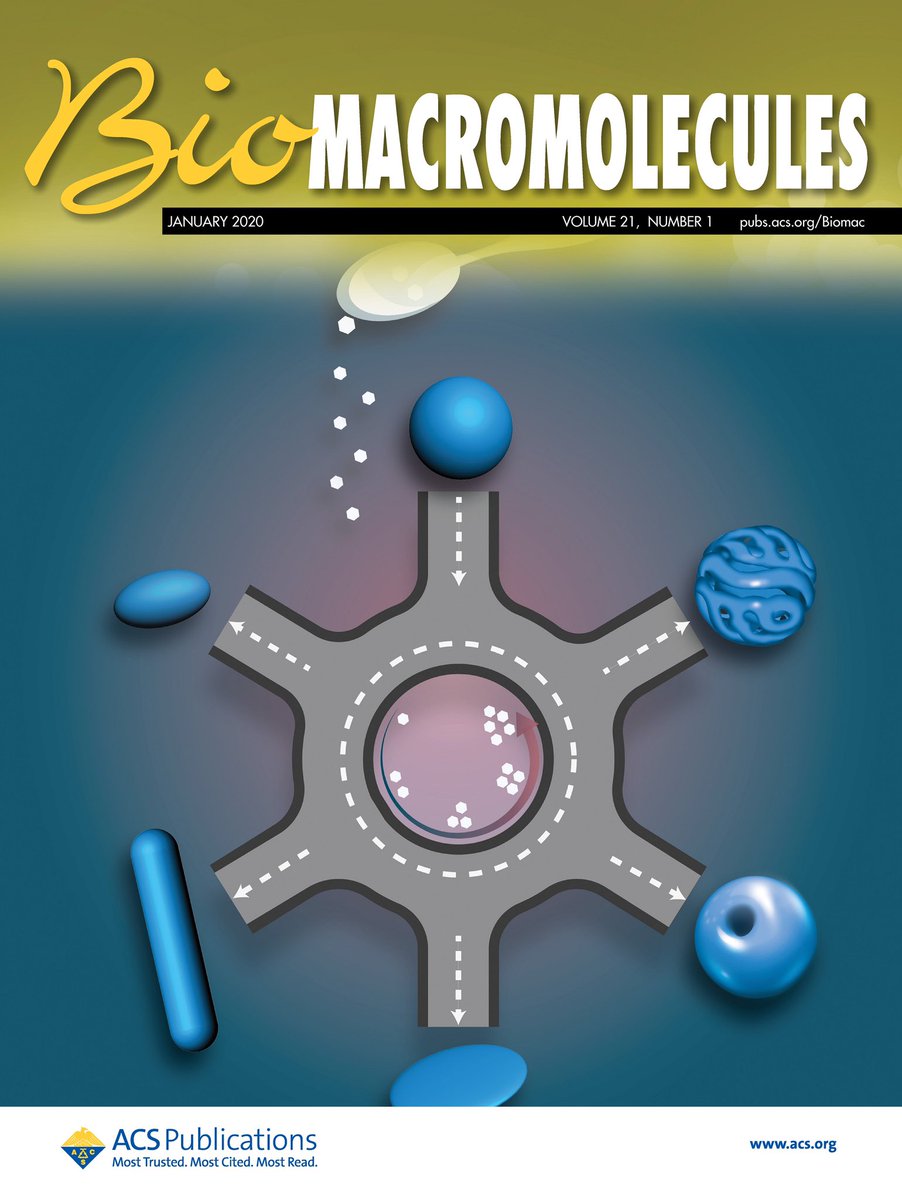 DWilson_group's tweet photo. Congratulations!!! @YongjunMen @liwei9114 🎊🎊🎊 
Our paper has selected as the cover in special issue “The Future of Biomacromolecules at a Crossroads of Polymer Science and Biology” @Biomac_ACS #Shapecontrol #Polymersomes https://t.co/r4PKpgYTzX