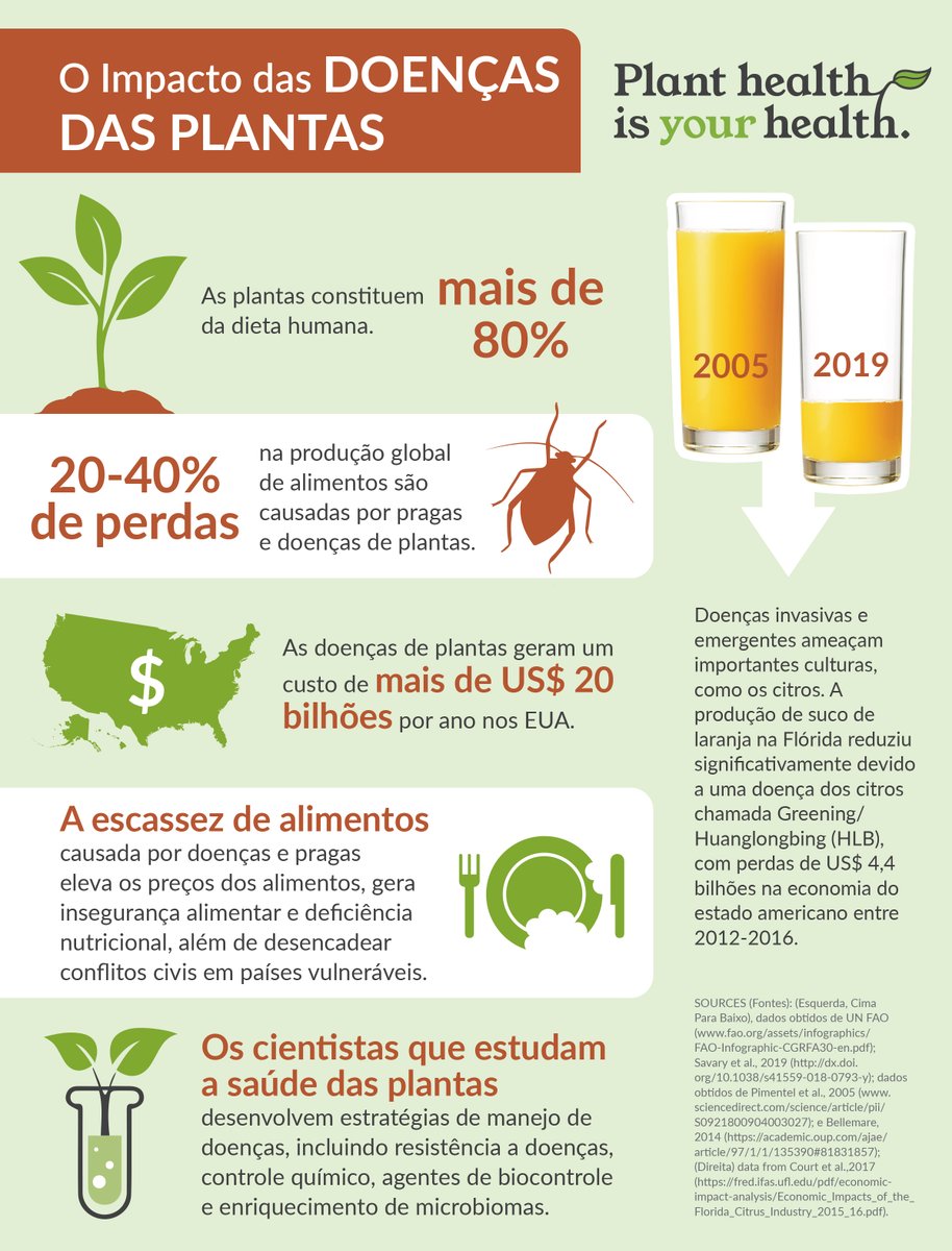 O Impacto das Doenças das Plantas #IYPH #IYPH2020