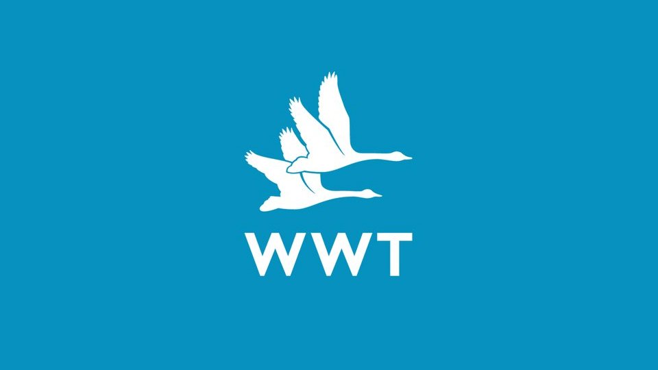 WWT logo