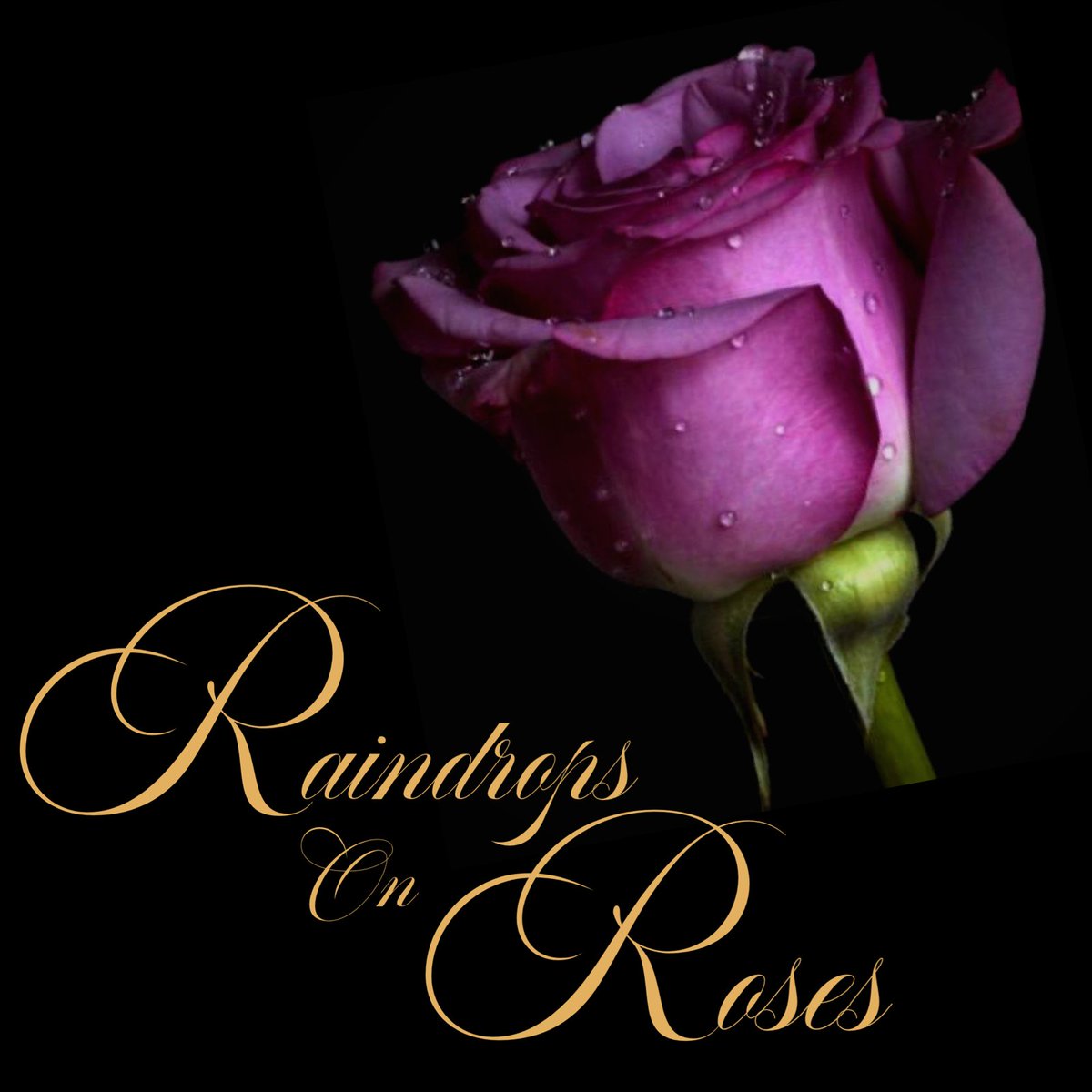 Raindrops On Roses (RaindropsRose_) Twitter