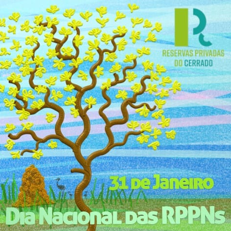 LaercioRPPN's tweet photo. Hoje, dia 31 de janeiro, comemoramos o Dia Nacional das Reservas Particulares do Patrimônio Natural (RPPNs), uma categoria muito especial de Unidade de Conservação (UC). O Brasil possui 1571 RPPNs, que protegem cerca de 890 mil hectares de florestas, matas, nascentes, rios. https://t.co/hi26IN1YYW