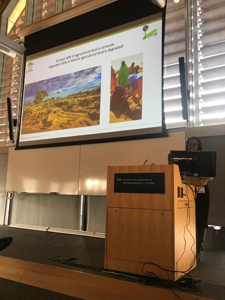 YaleISTF's tweet photo. Dr. Chomba and Dr. Lugo at the #ISTF2020 conference asking the questions of Restoration for What and for Whom? https://t.co/dheY48pLi1