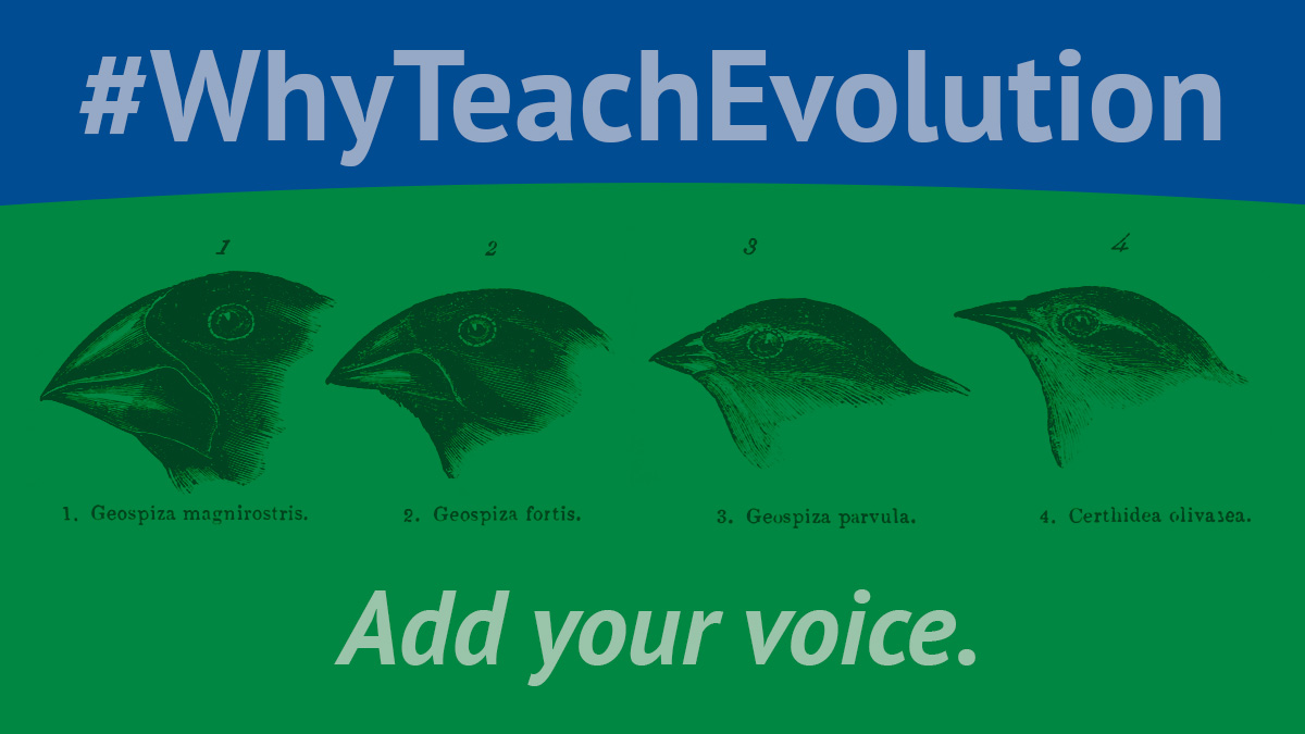 americnhumanist's tweet image. In the lead-up to this year&apos;s Darwin Day, we are partnering with The National Center for Science Education (@NCSE) to raise awareness around their #WhyTeachEvolution campaign. To add your voice or follow the conversation, please head to bit.ly/36J0PUq. #DarwinDay