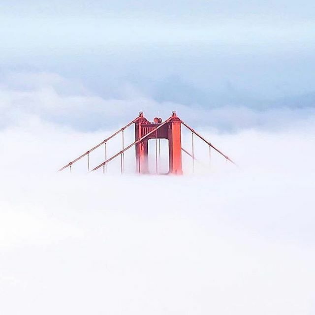 Cloud nine #49ers!  #goldengatebridge  #sanfrancisco #simplicity #empower #49erfaithful ...... #beautifuldreams⠀
#darlingweekend #photography #pursuepretty #beautifullife⠀
#goodmorningsunshine #goodmorning #flashesofdelight #abmhappylife⠀
#liveauthen… ift.tt/36Ntzeu