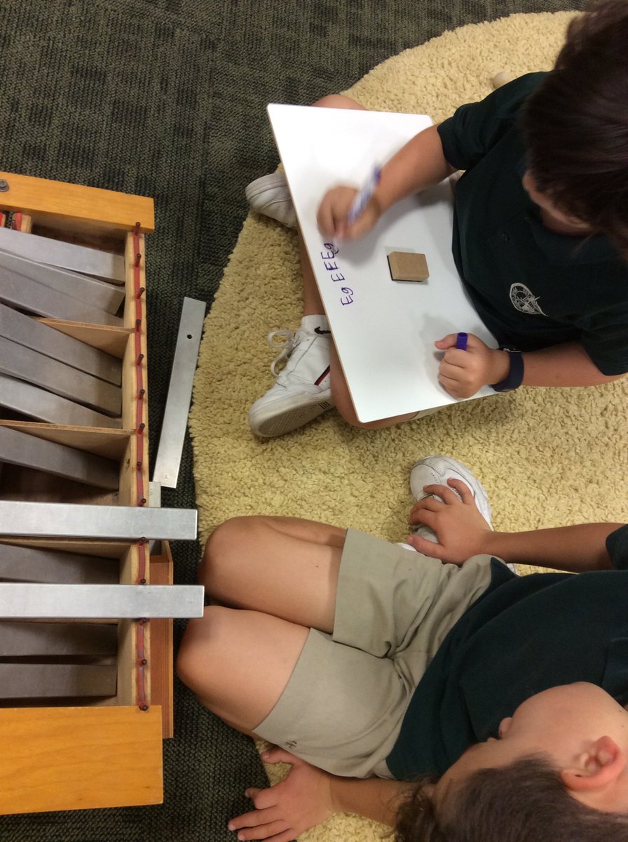 Fine Arts at Pine Crest School tweet media