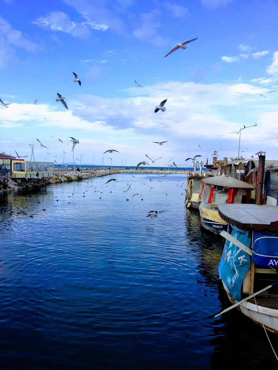 baki arık (@bakiark5) on Twitter photo 