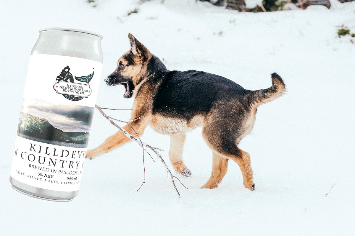 #nlcraftbeer #westernnlbrewing #Killdevil #wnlbc #GrosMorne #exploreNL
