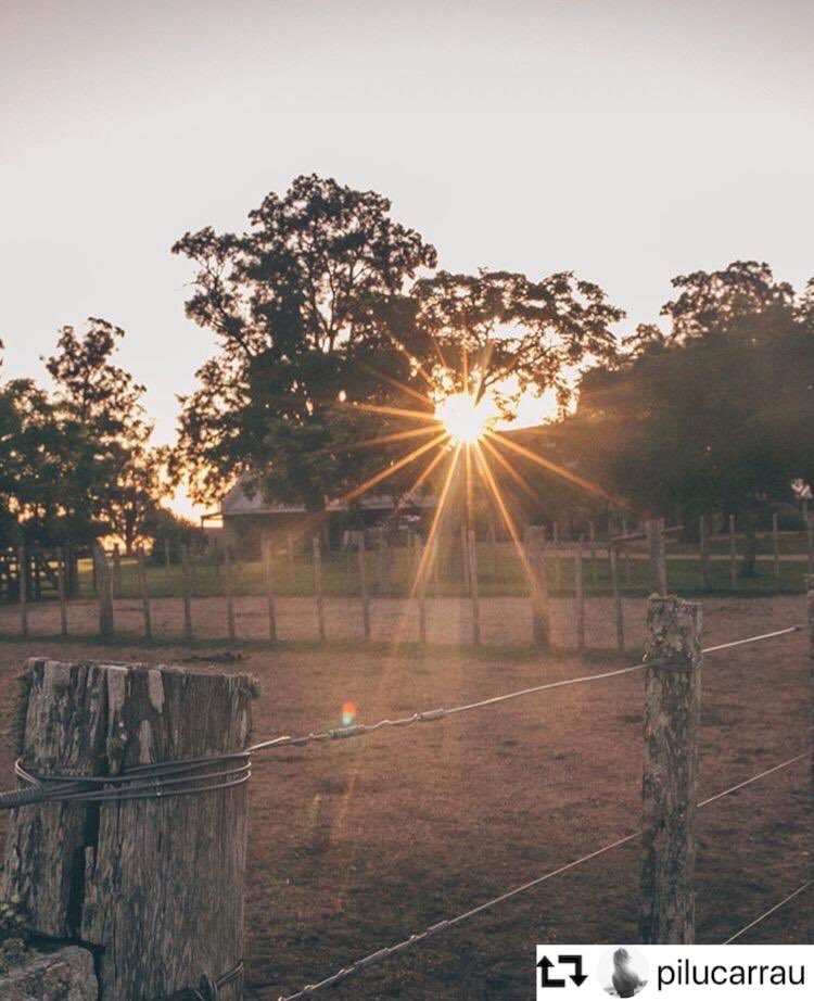 santa_uy's tweet photo. Atardeceres que enamoran #SantaVirginia #CasadeCampo 📸 @pilicarrau #alquiler #vacacionesuruguay #cardona #colonia #uruguay https://t.co/mGG6fK7O5D