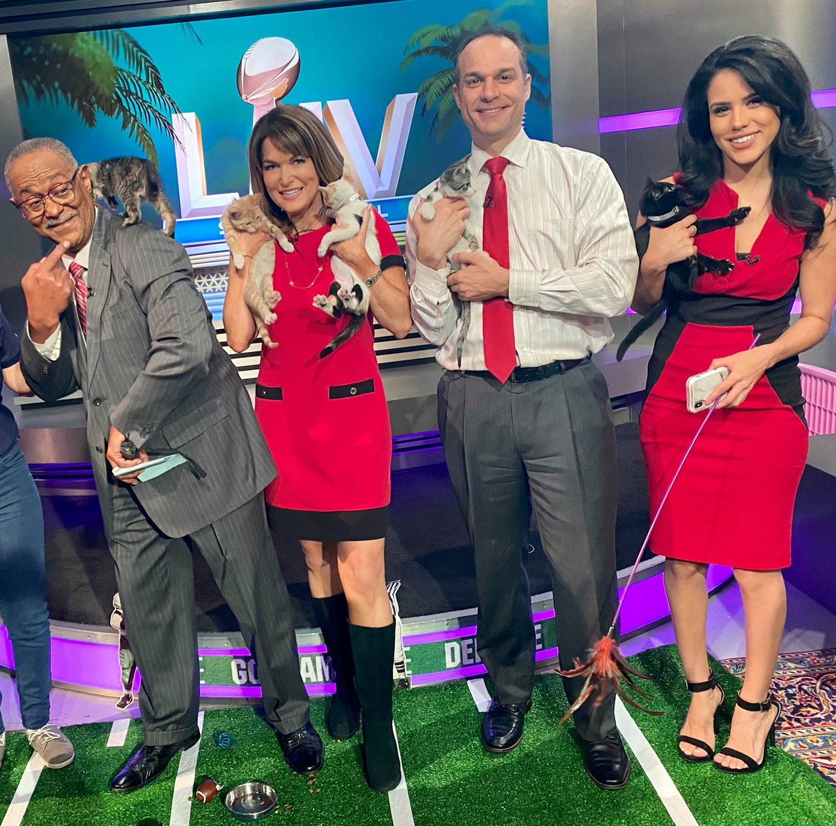 MelissaFox26's tweet photo. Lovin' our KITTEN BOWL... & you can meet the stars this weekend β¦@HoustonHumaneβ© for FREE KITTY ADOPTIONS through Monday! Meeeeow! πΈ https://t.co/oJNRxJy1YQ