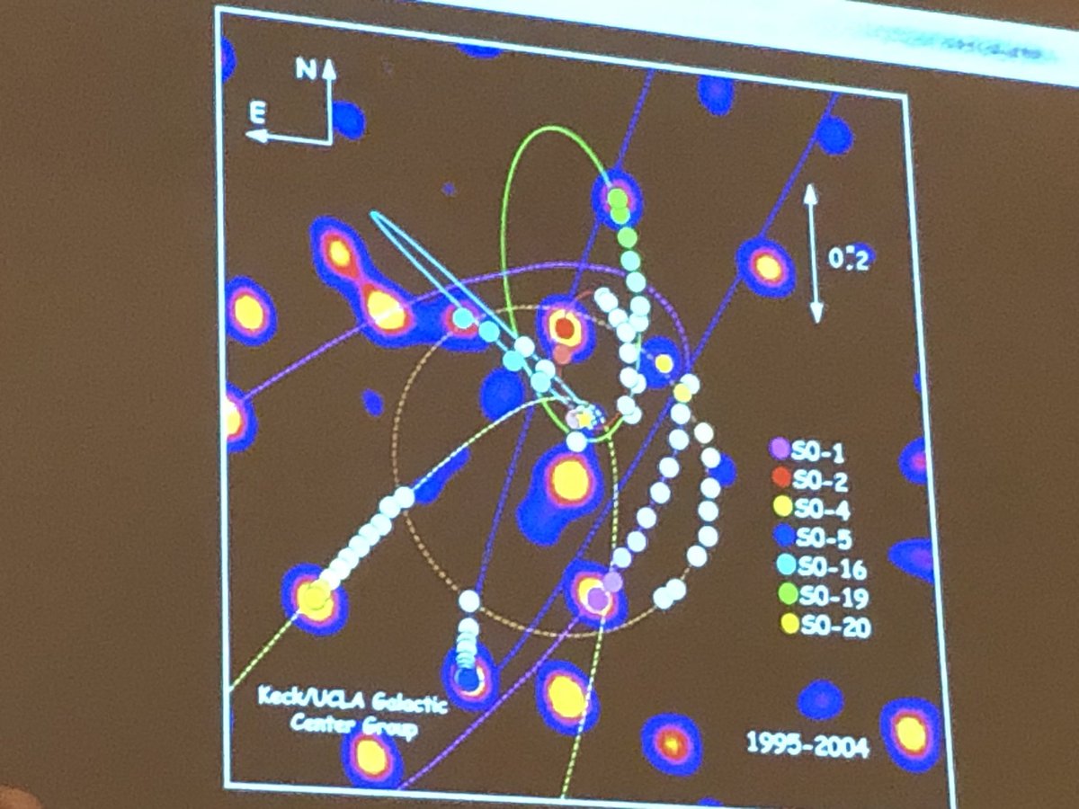 Maggie Wilson tweet media