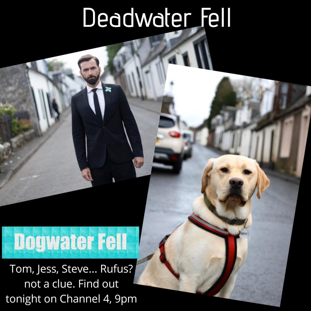 All will be revealed tonight . It could be anyone...maybe even the dog. <a href="/lynseymiller8/">Lynsey Miller</a> <a href="/Channel4/">Channel 4</a> #Dunlop #Therebeensomemurders #dunlopcinema