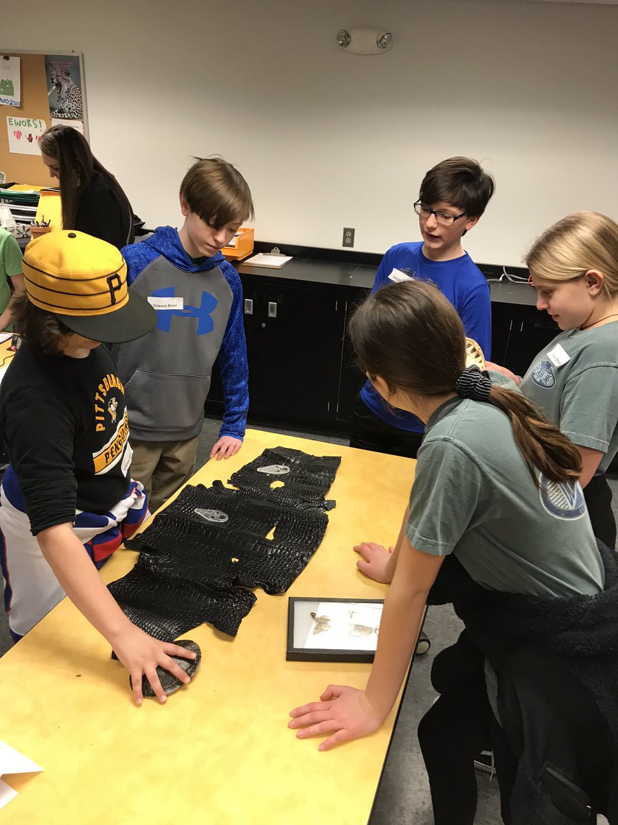 Pam Moniodes tweet media