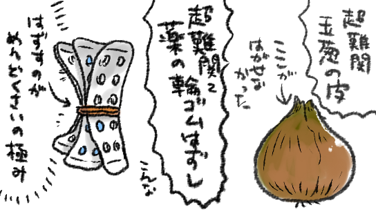 MAX鬱った時期に困ったことは多々あれど地味に辛かったのは玉葱の皮を剥くのができなかったことでした…(細かい作業がとんでもなく苦痛オブ苦痛だった)
あと飲んでた薬がこう(図参照)なった
(おわかりいただけるだろうか…)(いやなんとなくうまく説明できてない気がするけど)