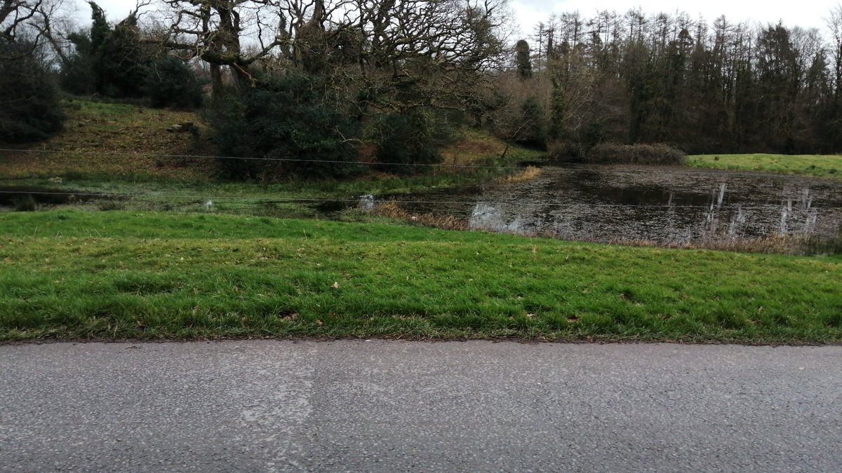 I'm doing all the walking dam sausage 😂