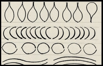 close up of line drawings from field notes.