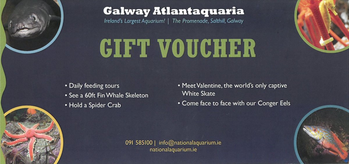 PotterFestNUIG's tweet photo. Take a Peak, Have a Gander at another of our Charity Raffle Prizes up for grabs at Phoenixfest! Gifted to us from our most esteemed and magical Sponsor @GalwayAquarium  !  Indeed, behold:  a voucher worth euros a hundred… What marvellous things could be achieved with this! https://t.co/j0MOvHXLjr