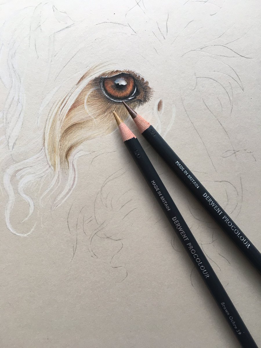 CazHallArt's tweet photo. Ok, I’ve got to the ‘stop and take lots of pics / play some games on the phone / tweet, because I’m scared I’ll mess it up’ stage. 🙄 Liking these #Derwent #procolour #pencils though https://t.co/DDB6ksatZx