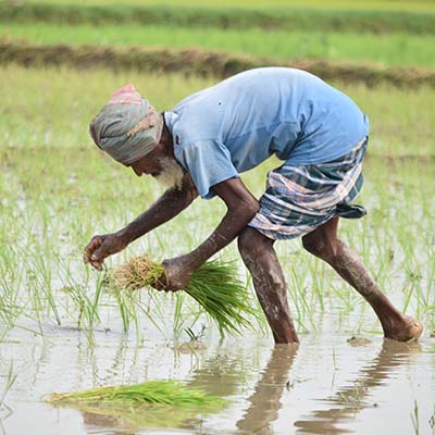 Find out how one of the winners of the #FIAwards is using #sustainable #finance to help farmers go carbon neutral and improve their crop yields. bit.ly/2vGCIsJ #climatechange #SustainableFinance