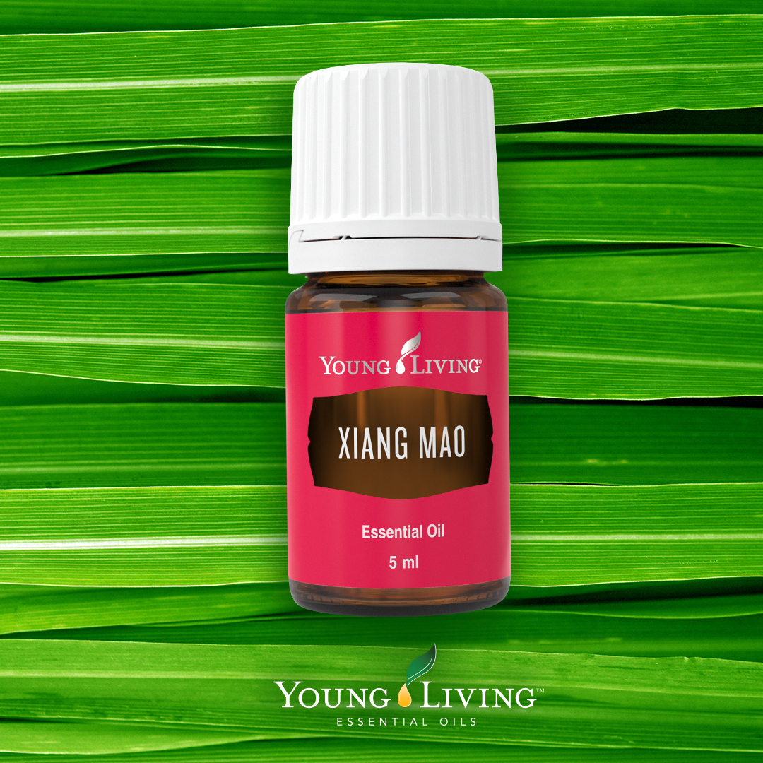 Xiangmao Hashtag On Twitter