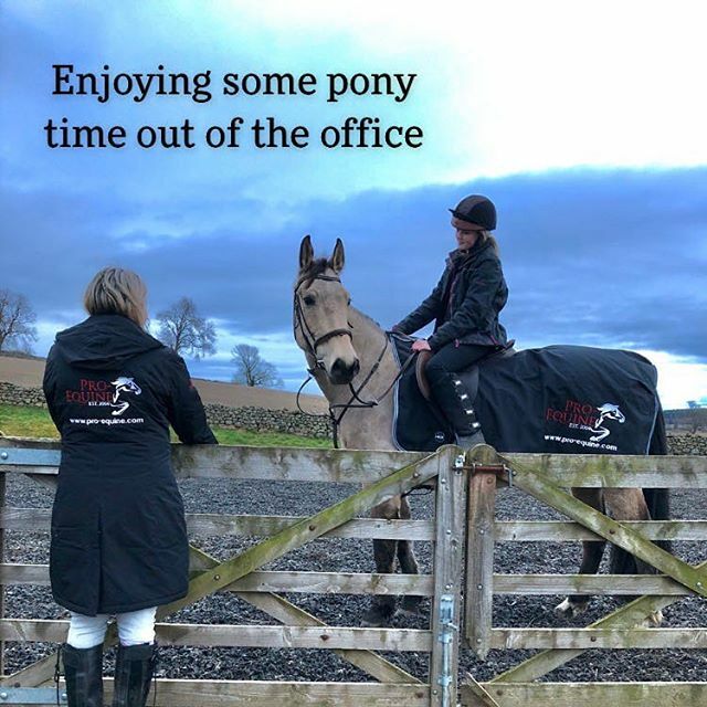 pro_equine's tweet photo. Pro-Equine cares for riders too!! https://t.co/S7zHfVC19g https://t.co/d0IW9Z8Ger