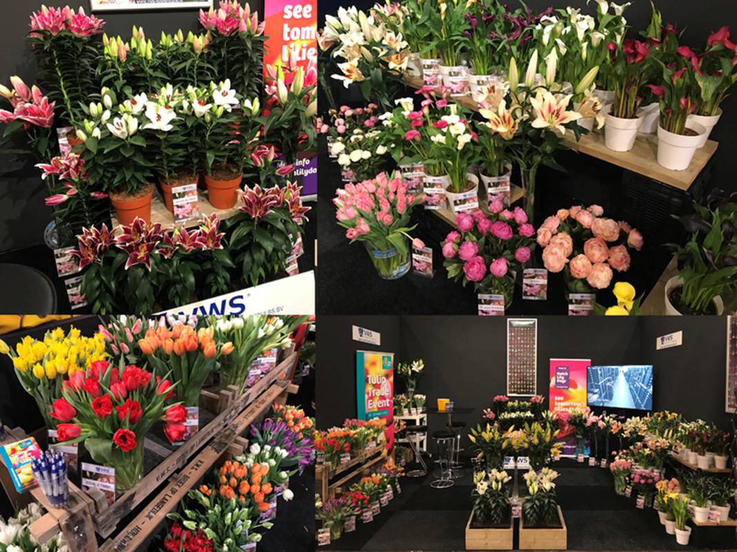 vws_flowerbulbs's tweet photo. Thank you very much for visiting the IPM! Stay updated on the upcoming events in which VWS participates.The next event is the Tulip Trade Event from 18-20 March 2020. 
@ipmessen #ipmessen #tuliptradeevent #tulip #flowershow #flowerevent #tulipevent @tuliptradeevent https://t.co/EvGuPdvDZ9