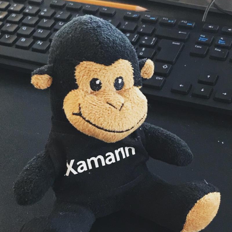 duckpagesnc's tweet photo. Thanks little monkey for the support you give us! ;) #development #xamarin #ios #android #uwp https://t.co/6l1pOAuOKd