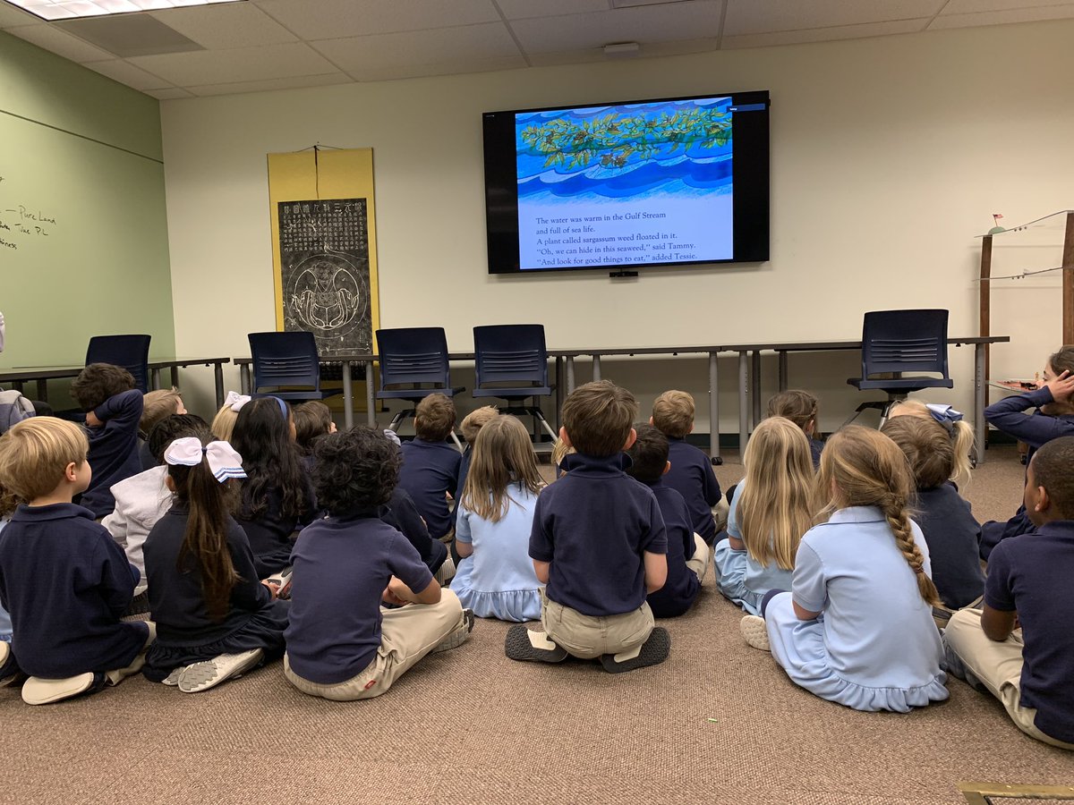 Karen_Hebert's tweet photo. Pre-K in the #GlobalLab learning about the sea turtle @TVS_Trojans https://t.co/J6ZLE5q1TH