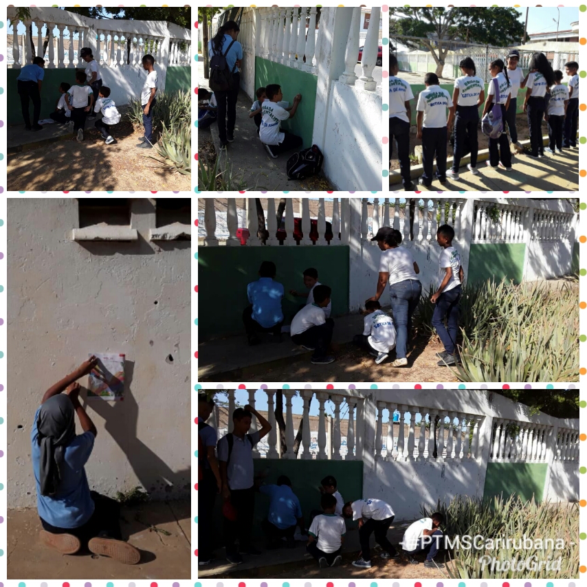 ptmscarirubana's tweet photo. Estudiantes del LN Mariano de Talavera activados con la Jornada Muralista de las Brigadas Escolares #MunicipioCarirubana #PqaNorte #FALCON @ptmsfalcon1 @PTMSNACIONAL @MPPEDUCACION @ZonaFalconEduca @MarelysCastro21 @GobVictorClark @CarirubanaRed4  @BRCIRCUITO17 https://t.co/Ifr5O0Ycdn