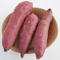 J も けつ まい なん