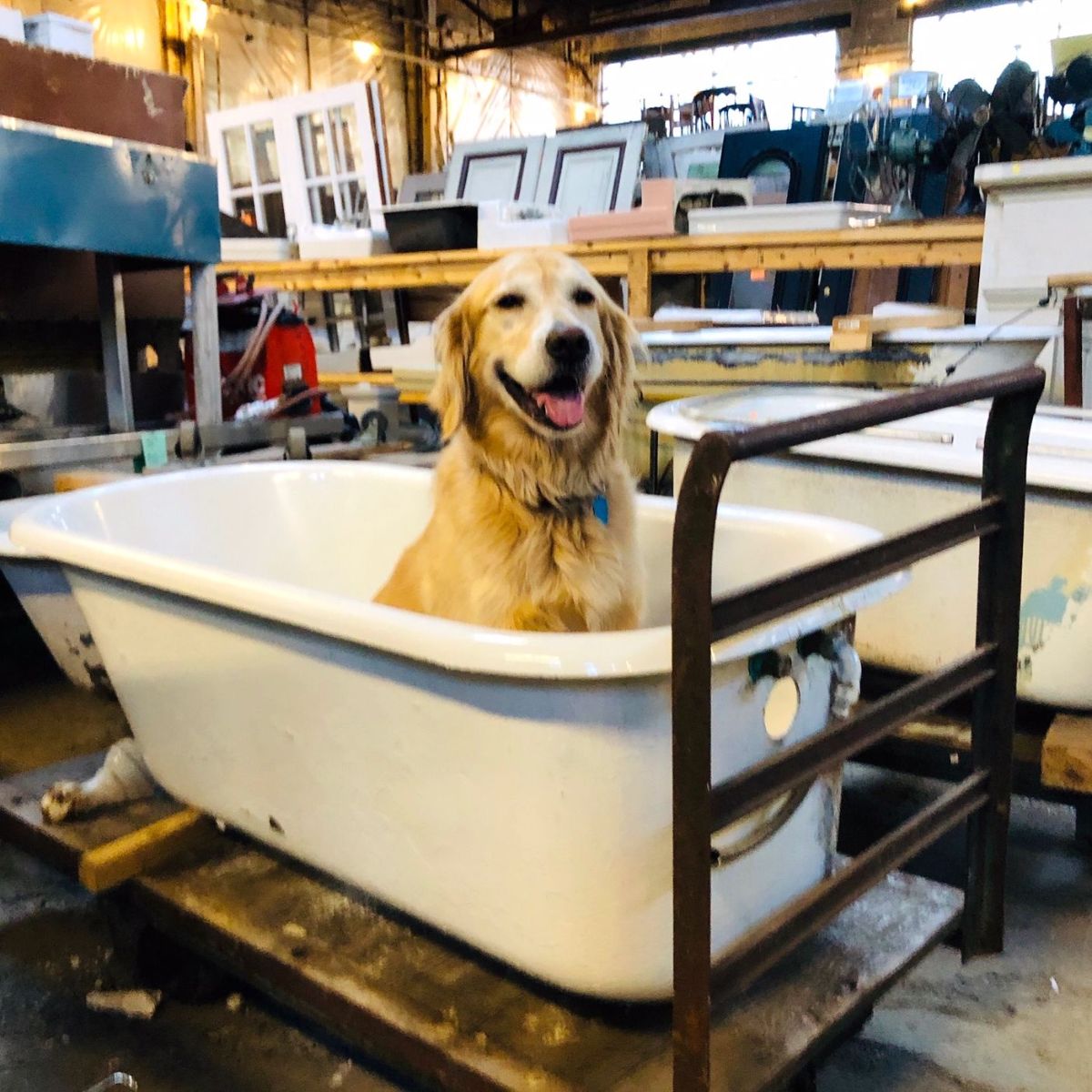 Black History Month, Feast Honoree, and more! 🏡 🍴 - mailchi.mp/75e7f325f15a/b…